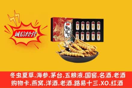 伊吾县名酒回收虫草.jpg